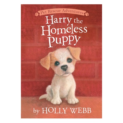 HARRY THE HOMELESS PUPPY - ANIMAL STORIES Çocuk Kitapları Uzmanı - Children's Books Expert