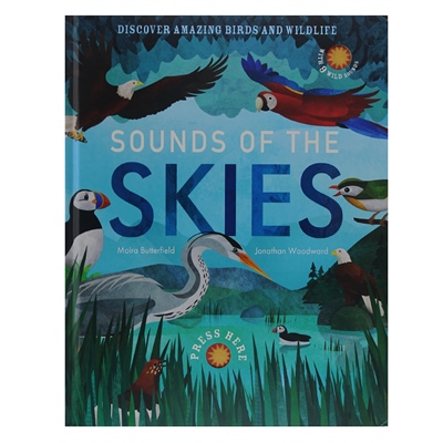 SOUNDS OF THE SKIES Çocuk Kitapları Uzmanı - Children's Books Expert
