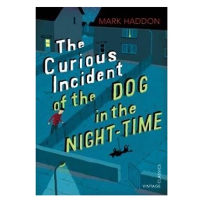THE CURIOUS INCIDENT OF THE DOG IN THE NIGHT-TIME: