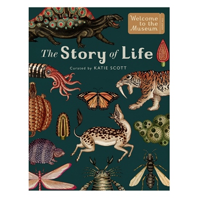 THE STORY OF LIFE EVOLUTION Çocuk Kitapları Uzmanı - Children's Books Expert